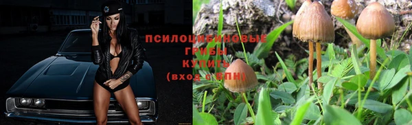 мдпв Тихорецк