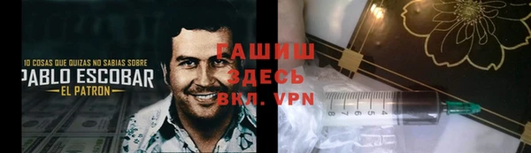2c-b Горно-Алтайск