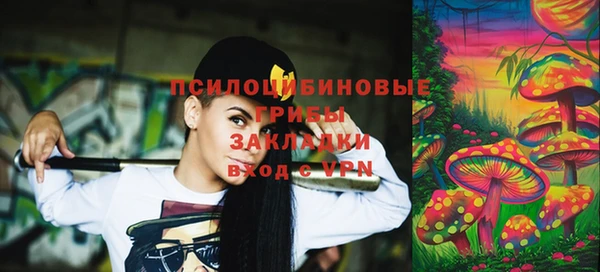 гидропоника Горняк